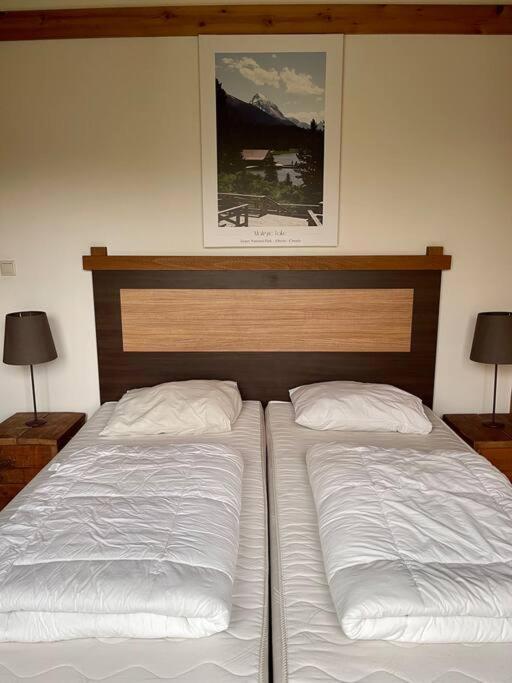 Unieke Houten Villa Met Sauna In Twente - 6P Den Ham 외부 사진