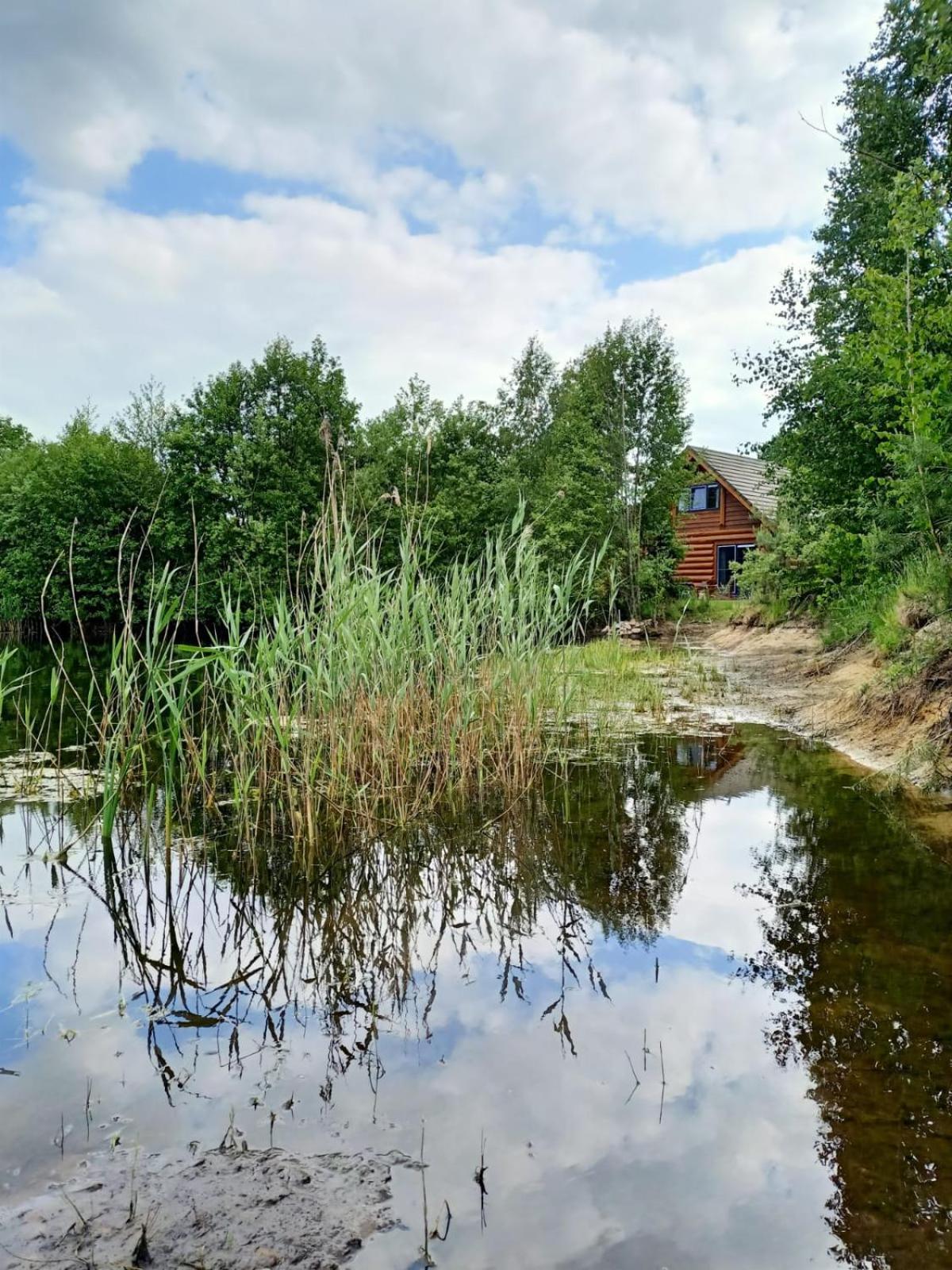 Unieke Houten Villa Met Sauna In Twente - 6P Den Ham 외부 사진